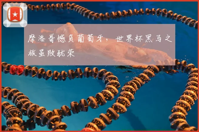 摩洛哥憾负葡萄牙，世界杯黑马之旅虽败犹荣