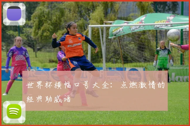 世界杯横幅口号大全：点燃激情的经典助威语
