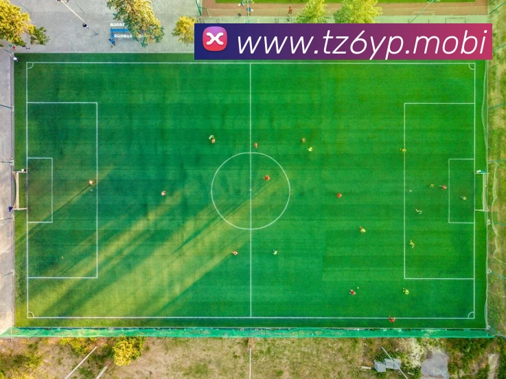 开云手机在线官网登录APP 体育赛事宣传图